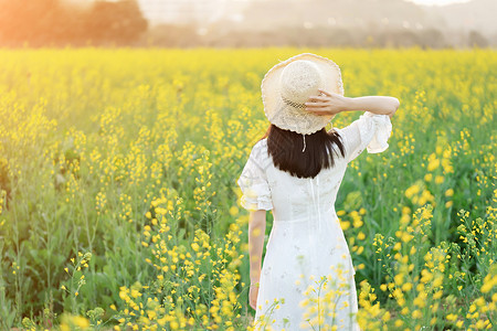 萌妹子字体油菜花花海中的少女背景