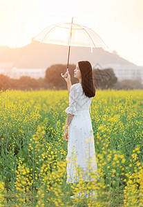 油菜花花海中的少女背景图片