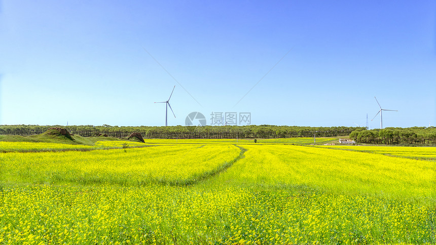 内蒙古农田夏季景观图片