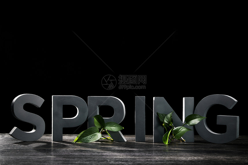 阳光照在spring的字体上图片