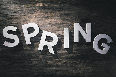 简约谷雨字体阳光照在春天spring的字体上背景