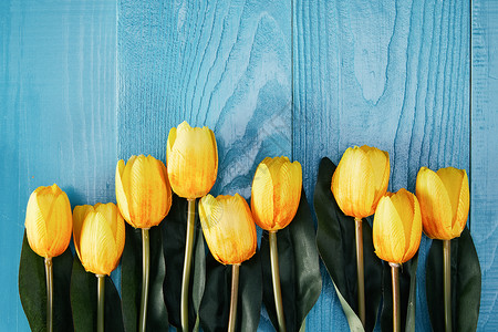 母亲节公益配图蓝色木板上放的郁金香背景