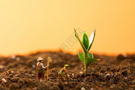 保护环境人人有责土壤里正在种植的农民和庄稼背景