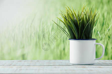 桌面上茶缸里长出的植物背景图片