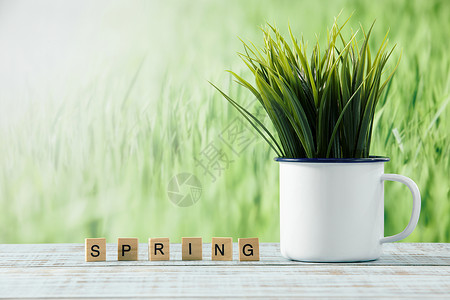 出春季促销桌面上茶缸里长出的植物背景
