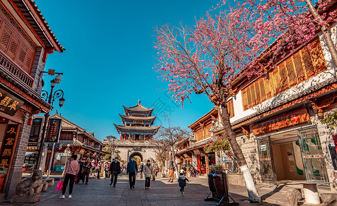 樱花小镇拍摄于云南大理古城步行街背景