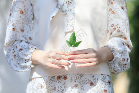 女性拿植物叶子特写背景图片