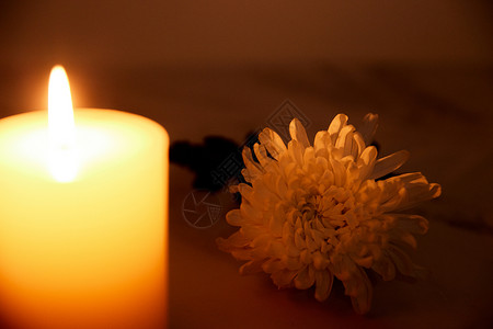 烛光下的白色菊花高清图片