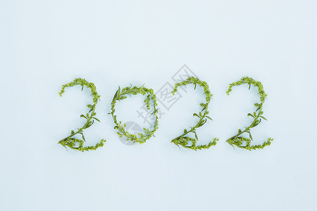 小草花枝摆成的数字年份2022图片