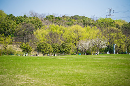 城市绿地图片