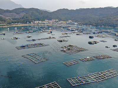 航拍深圳海上渔船背景图片