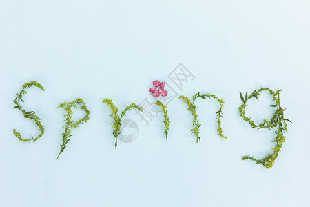 春暖四季字体花草组成的英文单词春天背景