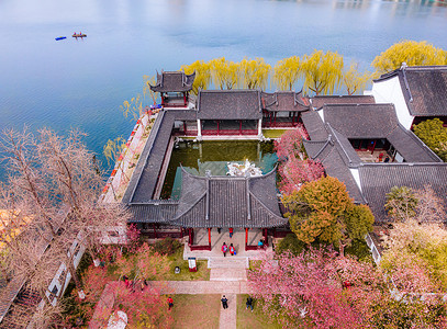 南京春天的莫愁湖公园海棠花航拍图片