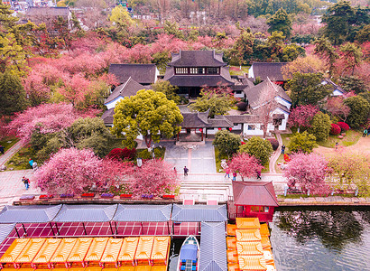 南京春天的莫愁湖公园海棠花航拍图片