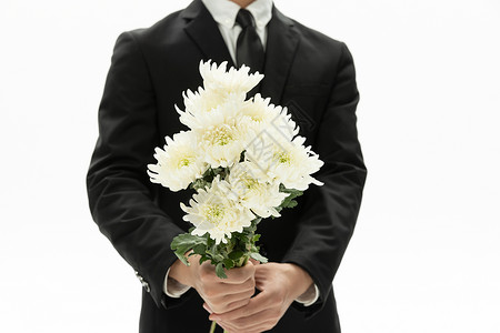 小菊花绽放生命商务男性拿着白色菊花特写背景