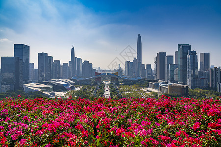 植物在大厦春天深圳市民中心背景