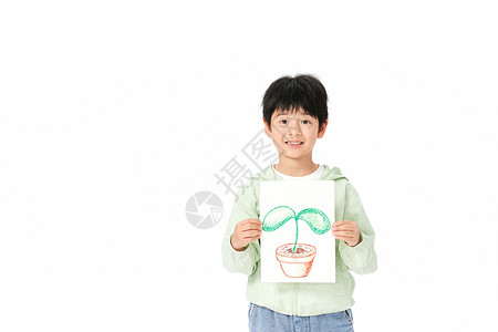 拿着手绘植物的小男孩背景图片