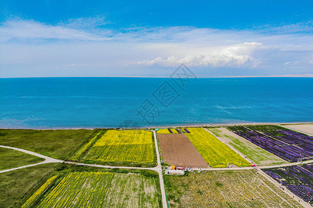 清明春游立体字青海的青海湖畔风光背景