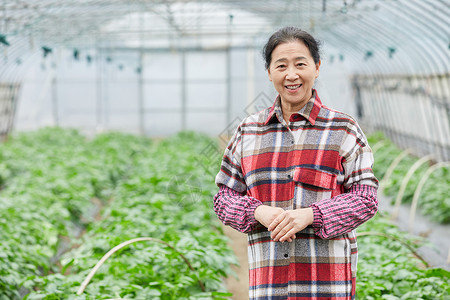 蔬菜大棚内农民形象背景