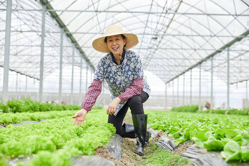 农民蔬菜大棚劳作形象图片