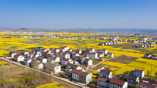 陕西洋县春季自然风光图片