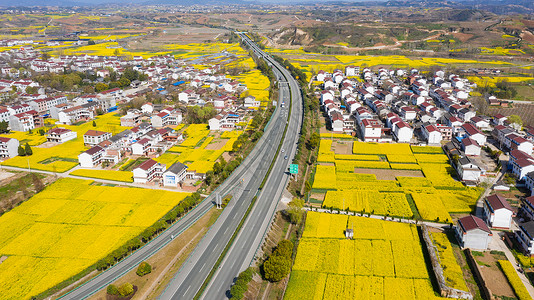 陕西高速公路陕西洋县油菜花自然风光背景