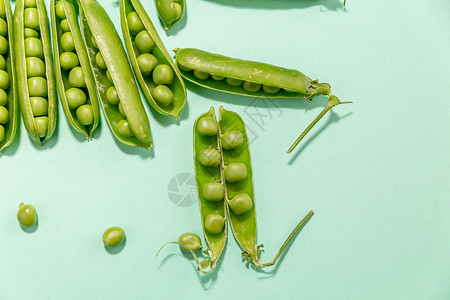 豌豆背景图片
