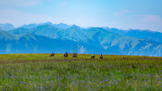 新疆伊犁喀拉峻草原背景图片