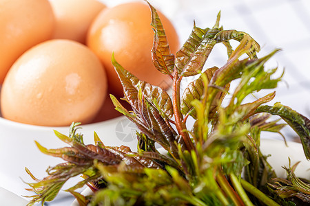 鸡蛋和香椿绿色香铃子高清图片