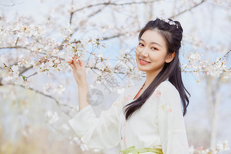 喝酒的古风少女古风汉服樱花少女背景