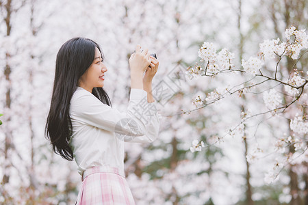 美女大学生逛游公园赏樱花高清图片