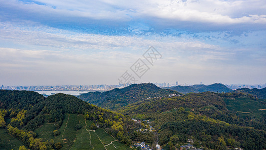 产区航拍杭州西湖龙井村茶园背景