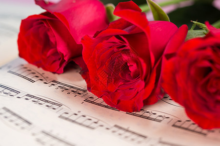 玫瑰花与乐谱背景图片