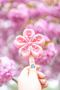北京玉渊潭春天浪漫的樱花图片
