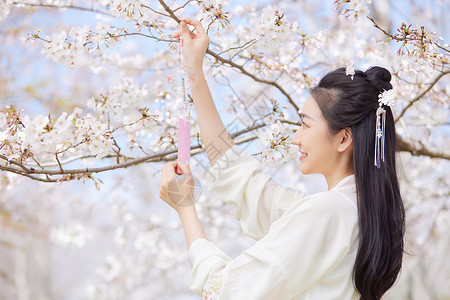 许愿少女古风汉服樱花美女挂风铃许愿背景