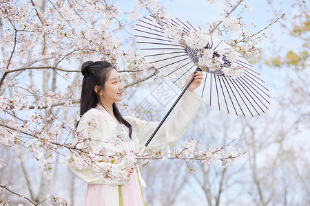 古风汉服樱花美女撑伞赏花图片