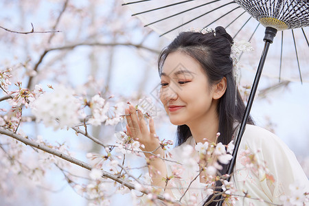 中国风少女古风汉服樱花美女撑伞赏花背景