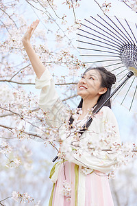 雨水节气女生花树下撑伞赏花插画古风汉服樱花美女撑伞赏花背景