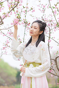 唯美古风扇子古风汉服樱花美女拿扇子背景