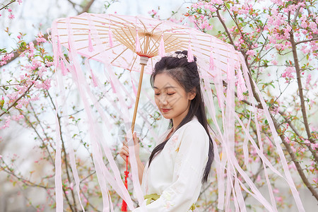 古风汉服樱花美女撑伞背景图片