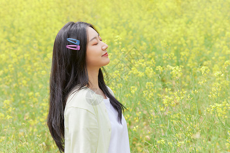 油菜花田花季少女背景图片