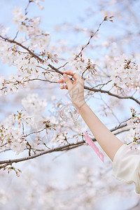 春季女性手捧樱花特写图片