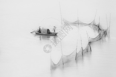 鱼 水墨国风扑鱼黑白图片背景