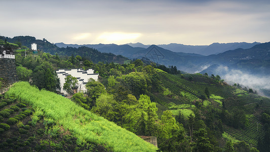 安徽茶园皖南安徽歙县石潭徽州风景背景