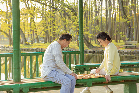 老年夫妇公园下象棋图片