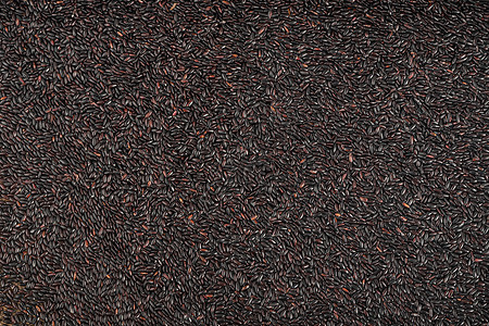 黑香米东北黑米高清图片