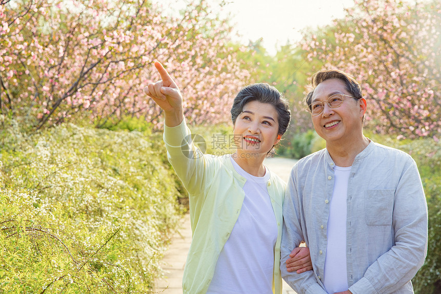 公园踏青的老年夫妇退休生活图片