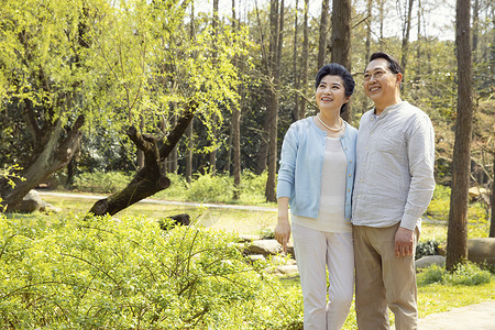 公园踏青的老年夫妇退休生活图片