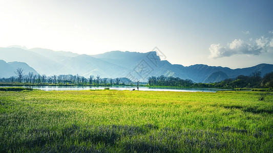 神农架林区大九湖黄昏背景图片