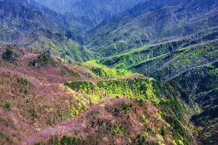 让世界看见湖北湖北神农架林区神农谷背景